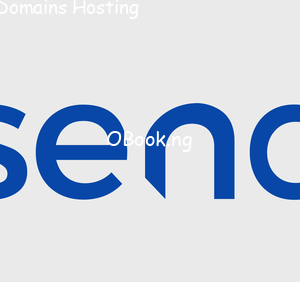send.com.ng