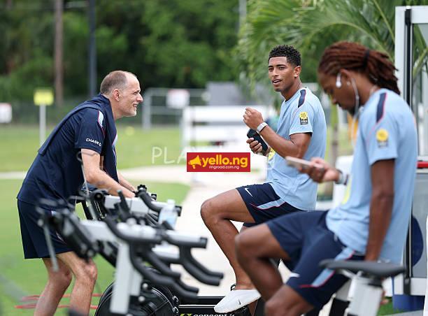 Three Lions