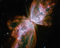 This celestial object looks like a delicate butterfly. But it is far from serene. What resemble dainty butterfly wings are actually roiling cauldrons of gas heated to nearly 20 000 degrees Celsius. The gas is tearing across space at more than 950 000 kilometres per hour — fast enough to travel from Earth to the Moon in 24 minutes! A dying star that was once about five times the mass of the Sun is at the centre of this fury. It has ejected its envelope of gases and is now unleashing a stream of ultraviolet radiation that is making the cast-off material glow. This object is an example of a planetary nebula, so-named because many of them have a round appearance resembling that of a planet when viewed through a small telescope. The Wide Field Camera 3 (WFC3), a new camera aboard the NASA/ESA Hubble Space Telescope, snapped this image of the planetary nebula, catalogued as NGC 6302, but more popularly called the Bug Nebula or the Butterfly Nebula. WFC3 was installed by NASA astronauts in May 2009, during the Servicing Mission to upgrade and repair the 19-year-old Hubble. NGC 6302 lies within our Milky Way galaxy, roughly 3800 light-years away in the constellation of Scorpius. The glowing gas is the star's outer layers, expelled over about 2200 years. The "butterfly" stretches for more than two light-years, which is about half the distance from the Sun to the nearest star, Proxima Centauri. The central star itself cannot be seen, because it is hidden within a doughnut-shaped ring of dust, which appears as a dark band pinching the nebula in the centre. The thick dust belt constricts the star's outflow, creating the classic "bipolar" or hourglass shape displayed by some planetary nebulae. The star's surface temperature is estimated to be over 220 000 degrees Celsius, making it one of the hottest known stars in our galaxy. Spectroscopic observations made with ground-based telescopes show that the gas is roughly 20 000 degrees Celsius, which is unusually hot compared to a t
